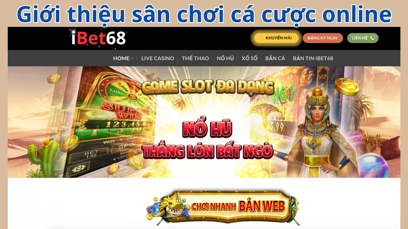 Giới thiệu Ibet68 và những thông tin cơ bản về nhà cái